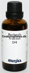 Berberis fructus D4